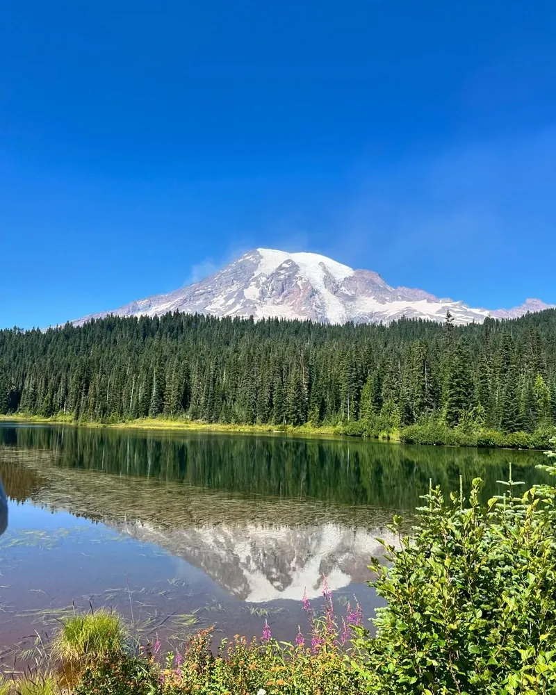 Mount Rainier view 1